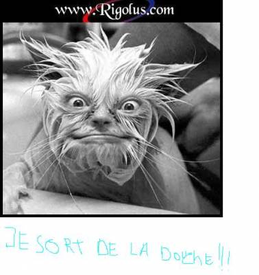 il et mignon   lool