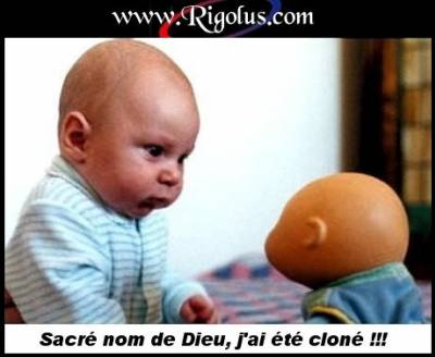 le povre